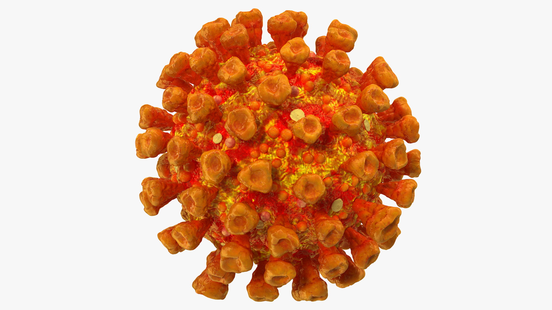 3D model Coronavirus SARS-CoV