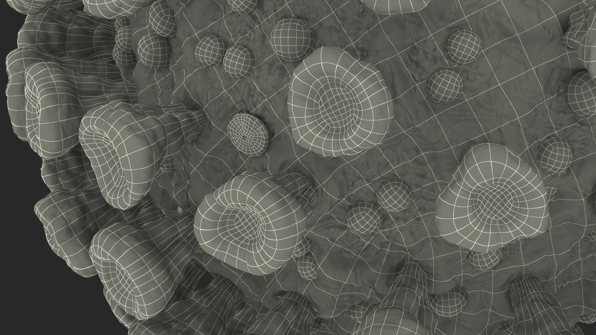 3D model Coronavirus SARS-CoV