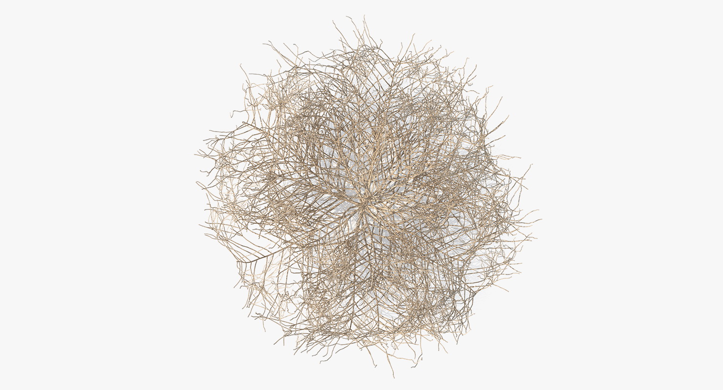 Desert Tumbleweed 3D