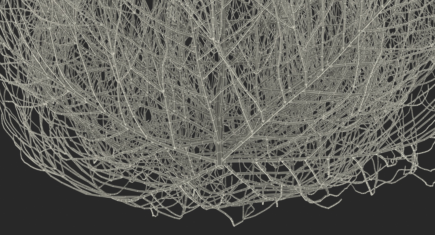 Desert Tumbleweed 3D