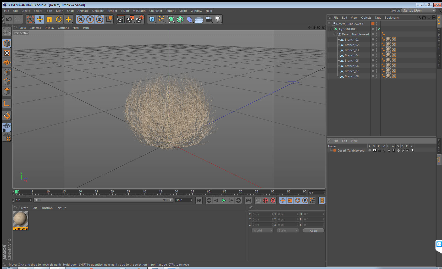 Desert Tumbleweed 3D