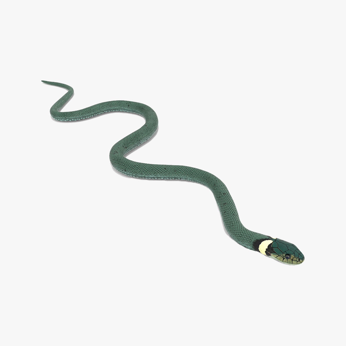 3D Grass Snake Green Rigged for Cinema 4D model