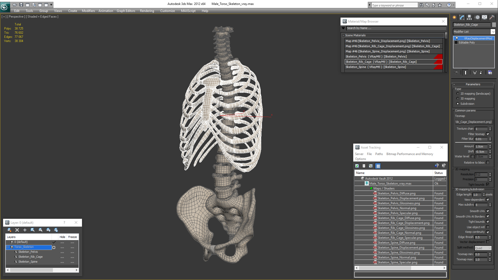 Male Torso Skeleton 3D model