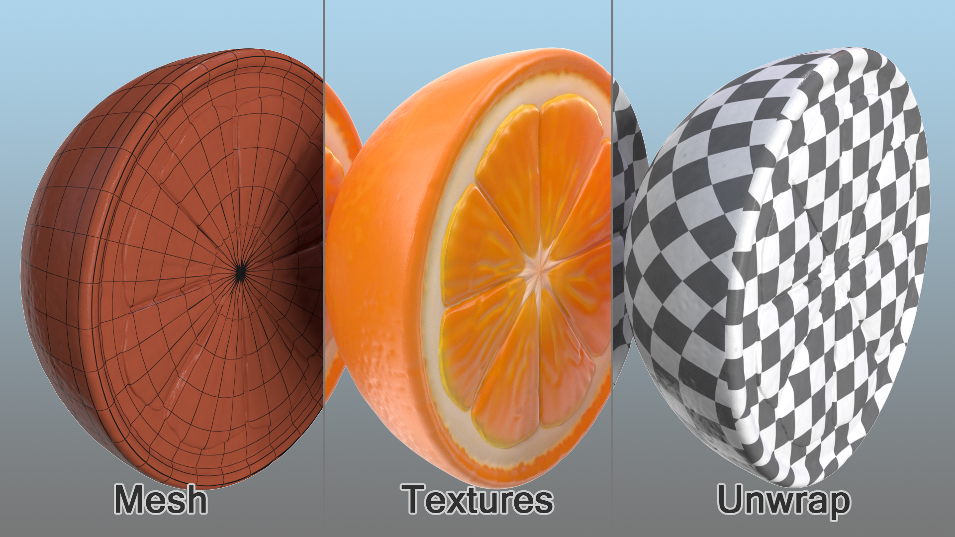 3D Half Fresh Orange Fruit model