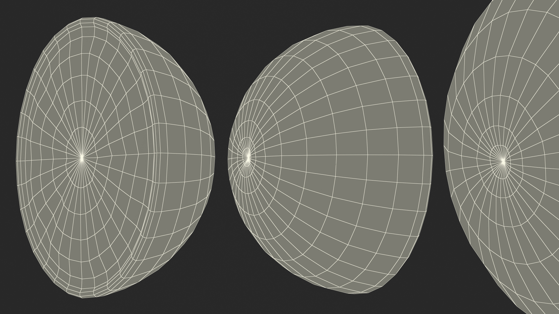 3D Half Fresh Orange Fruit model