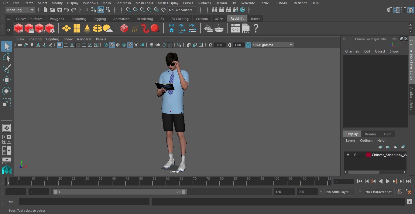 Chinese Schoolboy With Book 3D