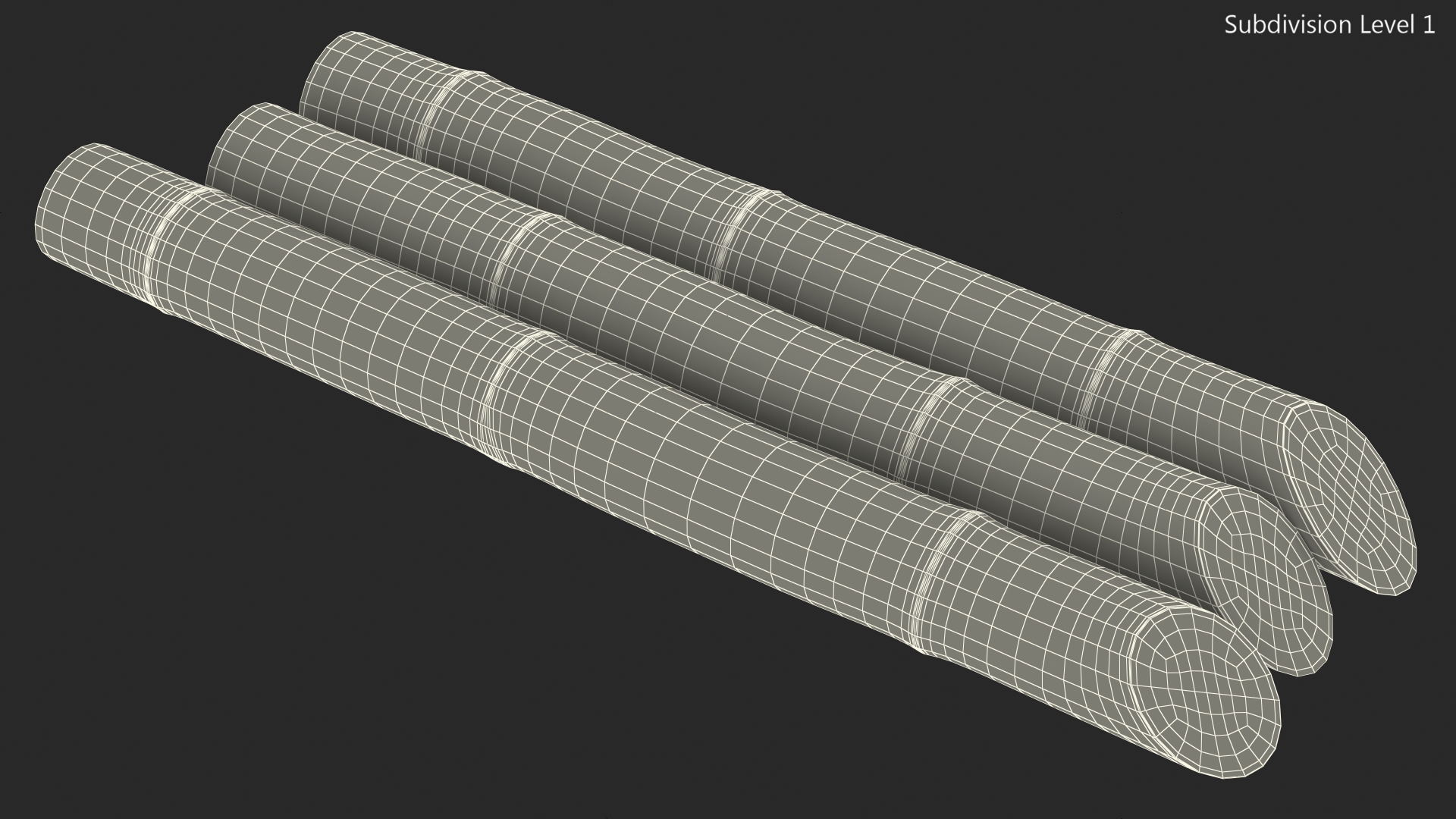 Fresh Sugarcane Sticks 3D