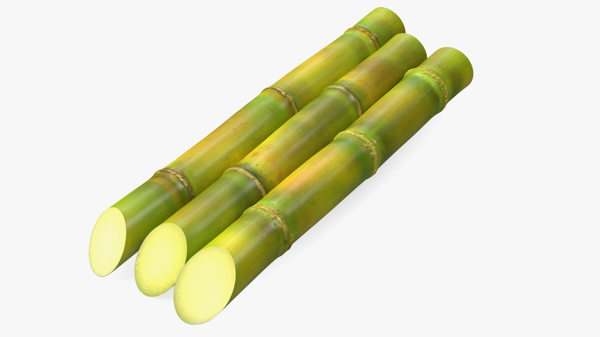 Fresh Sugarcane Sticks 3D