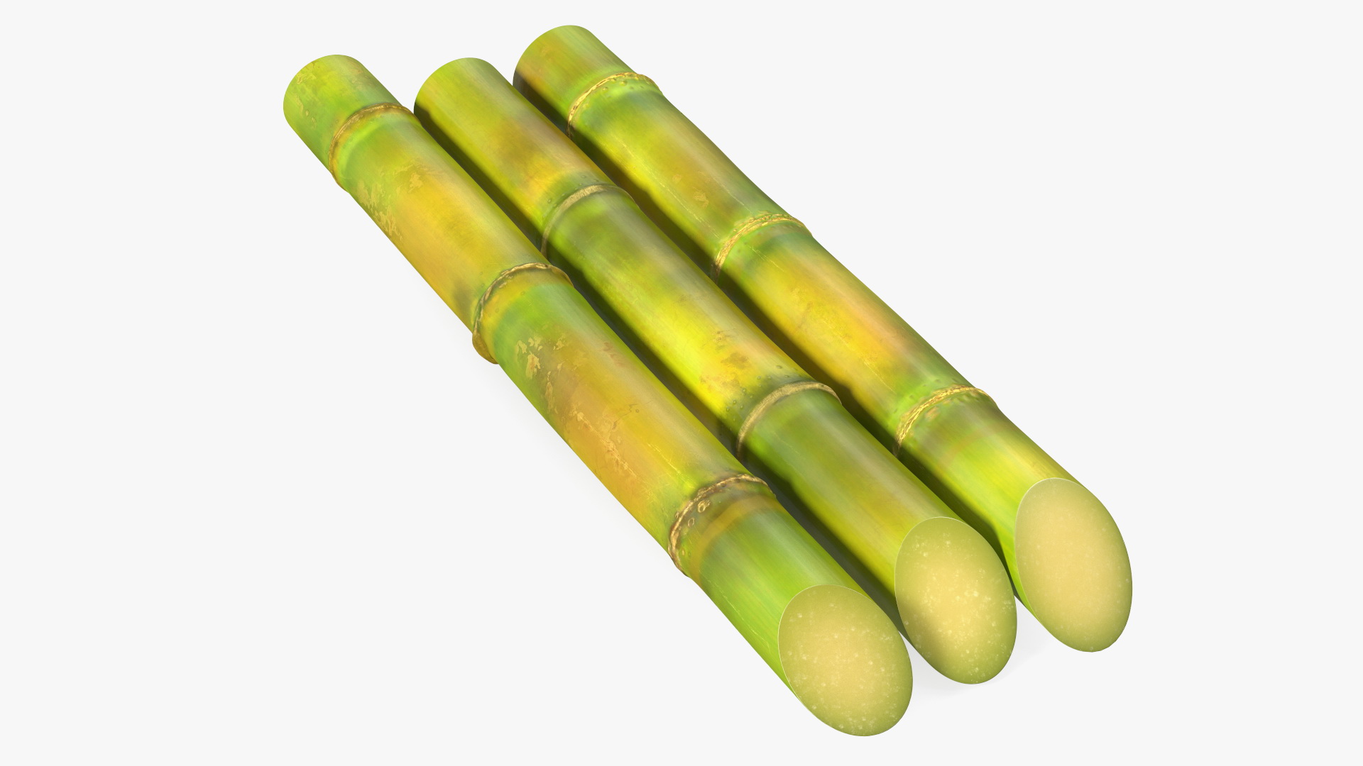 Fresh Sugarcane Sticks 3D
