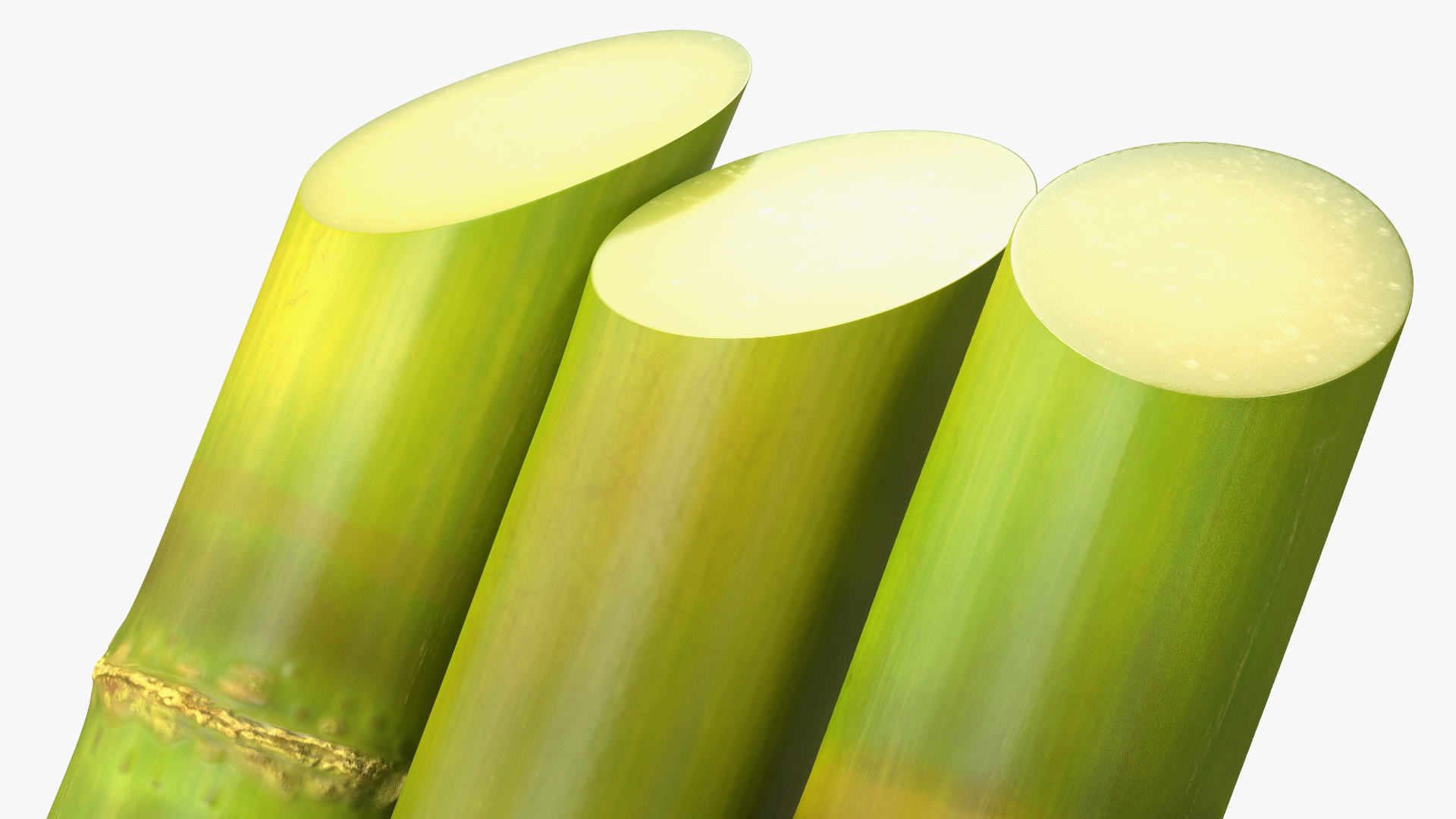 Fresh Sugarcane Sticks 3D