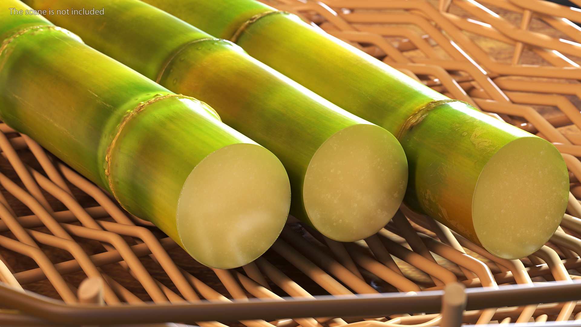 Fresh Sugarcane Sticks 3D