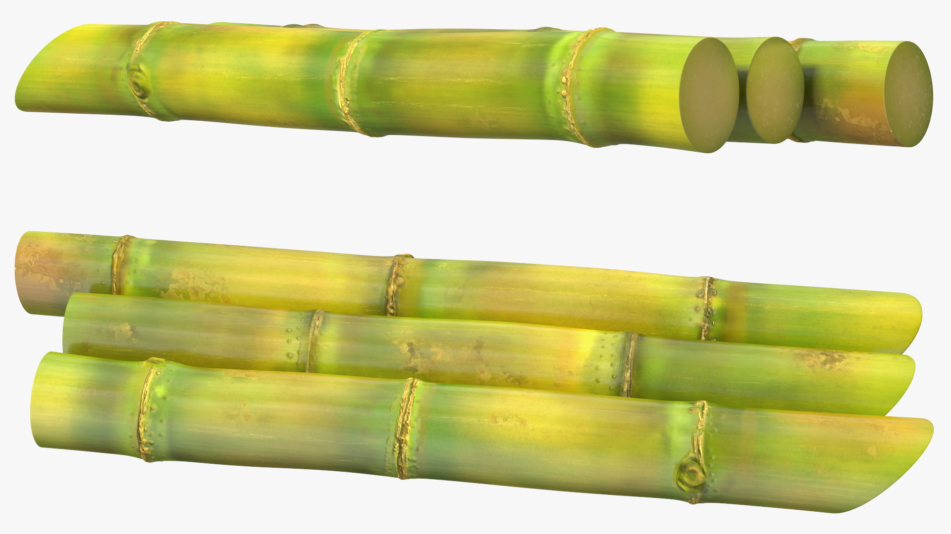 Fresh Sugarcane Sticks 3D