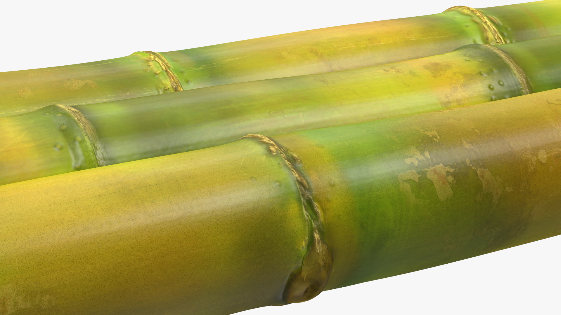 Fresh Sugarcane Sticks 3D