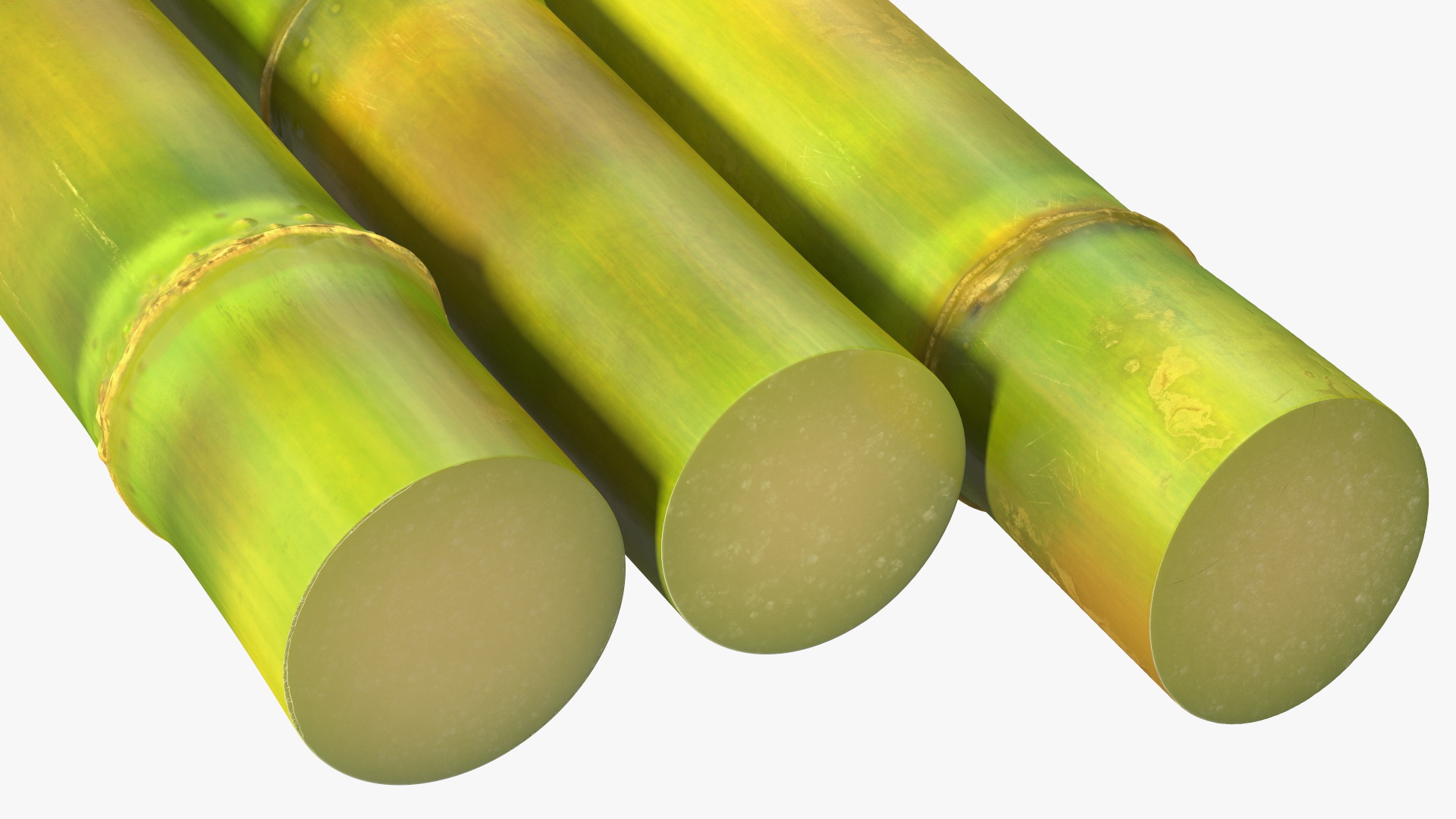 Fresh Sugarcane Sticks 3D