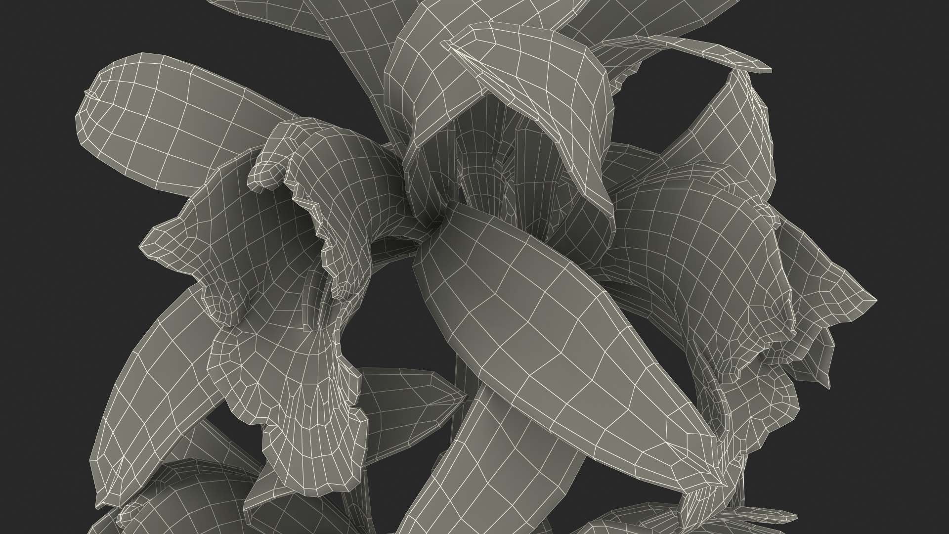 3D Pink Orchid Branch model