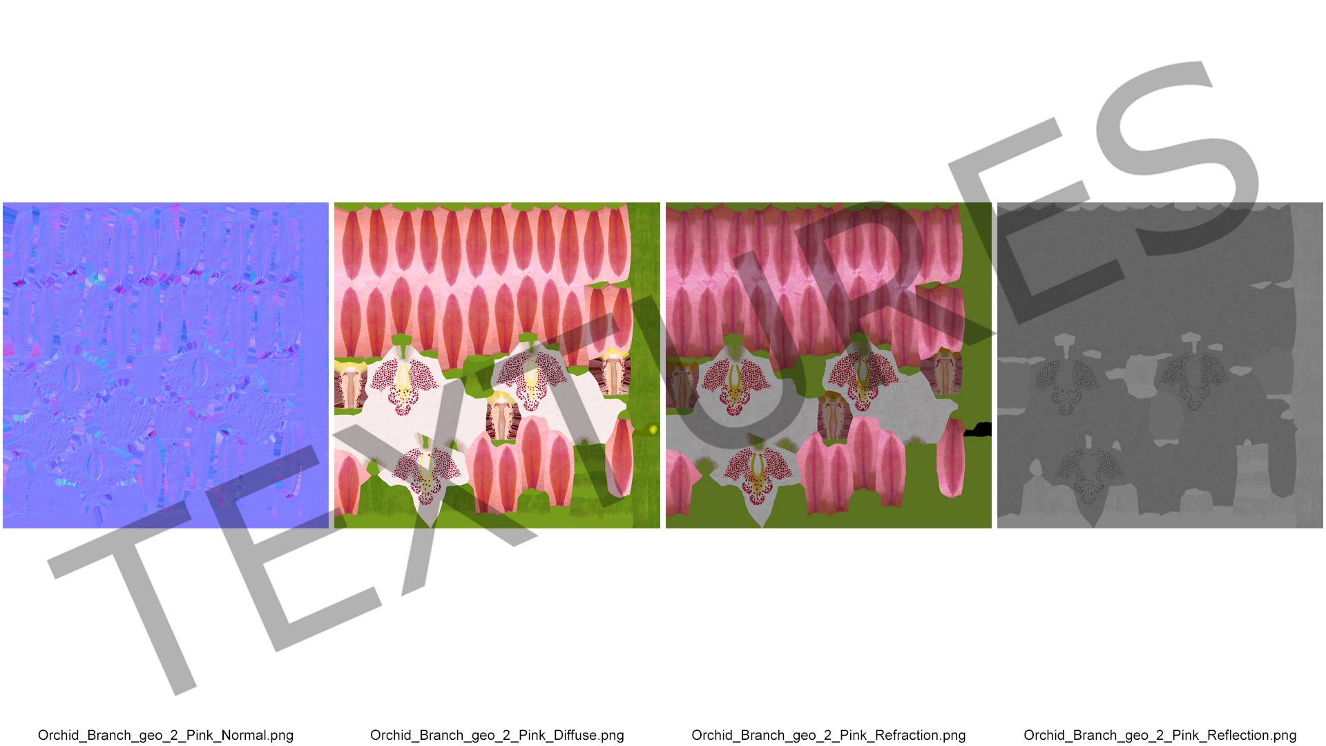 3D Pink Orchid Branch model