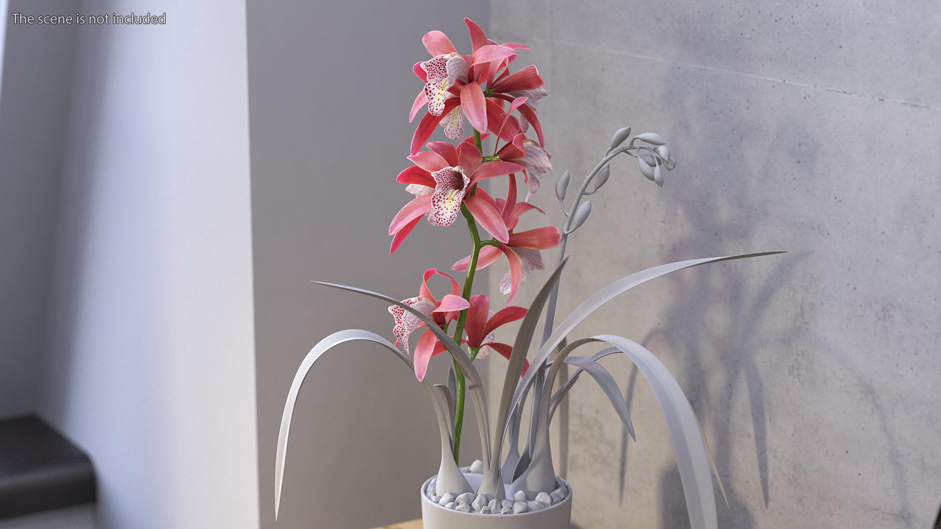 3D Pink Orchid Branch model