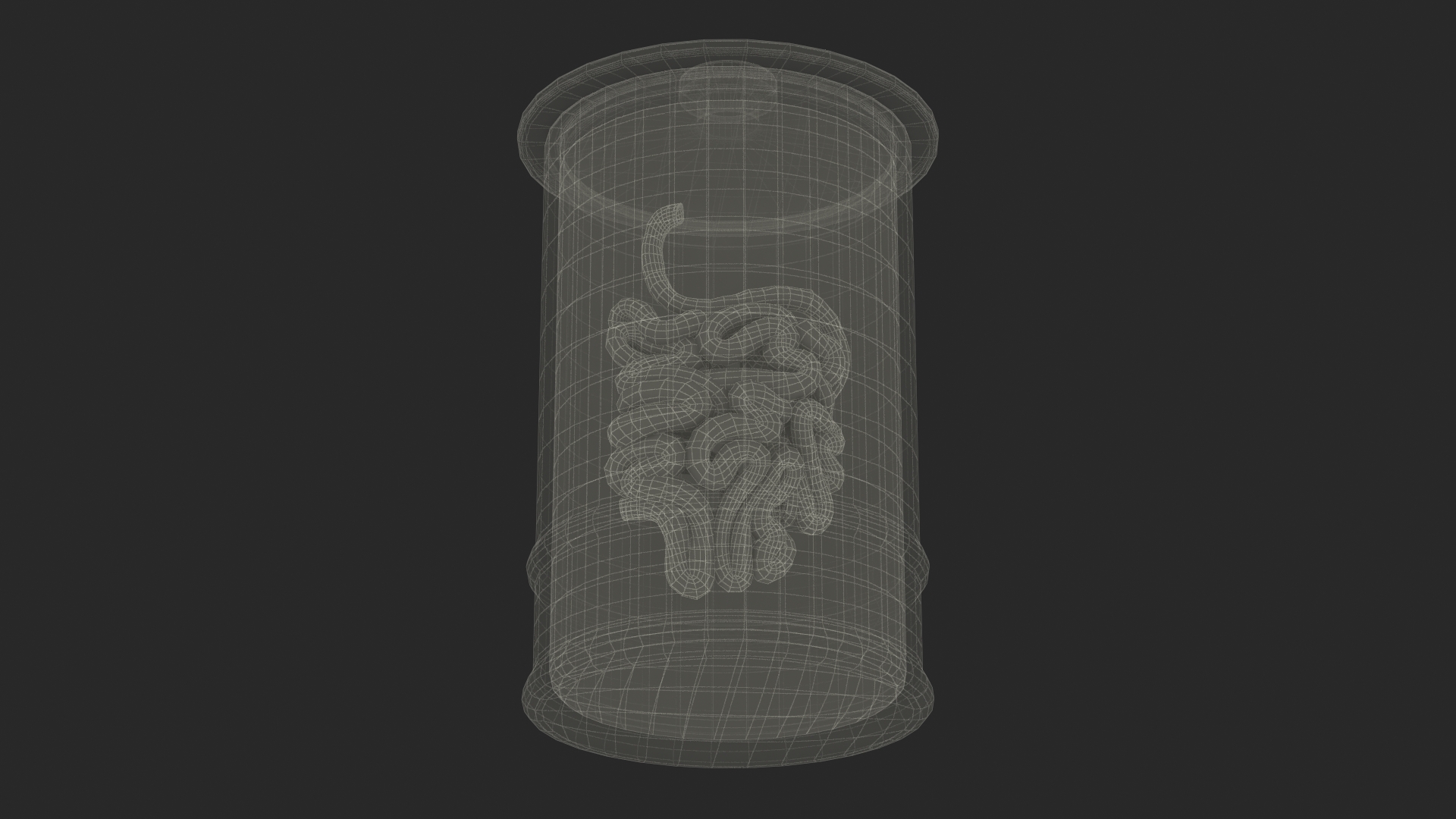 Human Small Intestine in Glass Jar 3D model