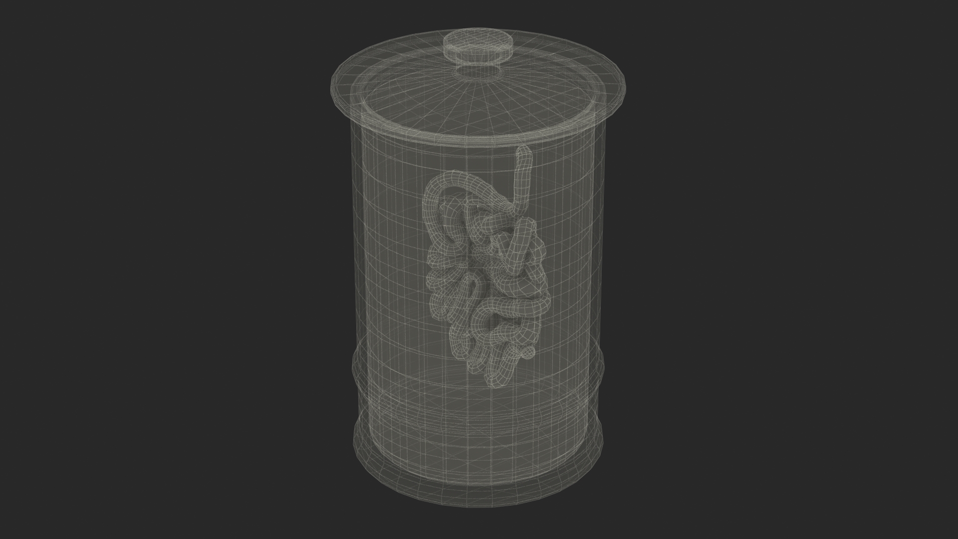 Human Small Intestine in Glass Jar 3D model