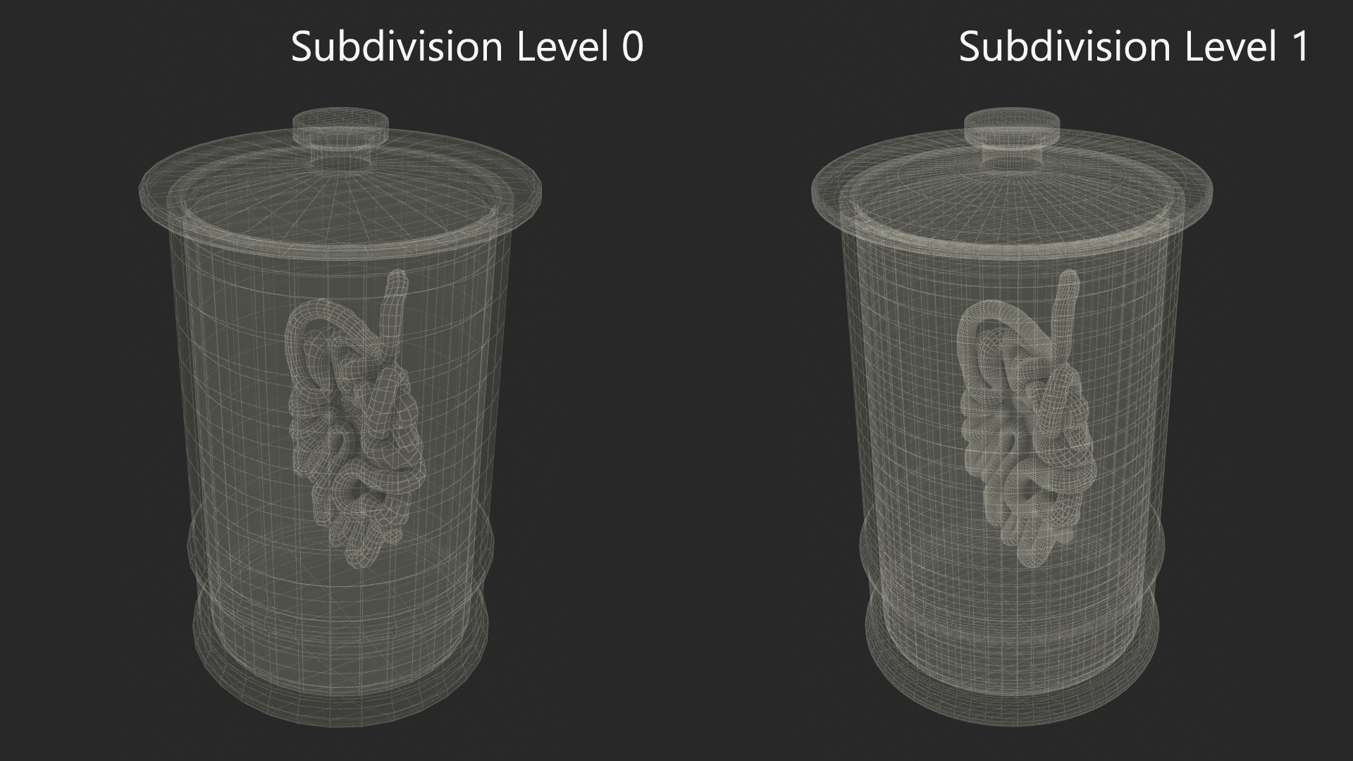 Human Small Intestine in Glass Jar 3D model