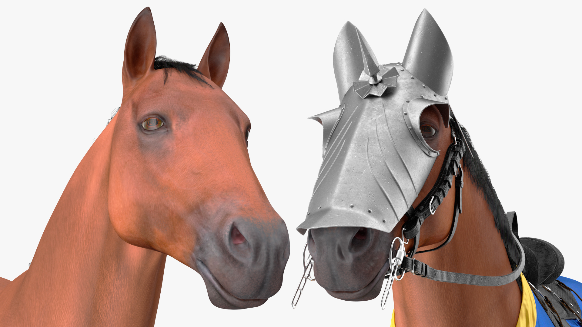 Knight Horse Blanket Fur 3D model