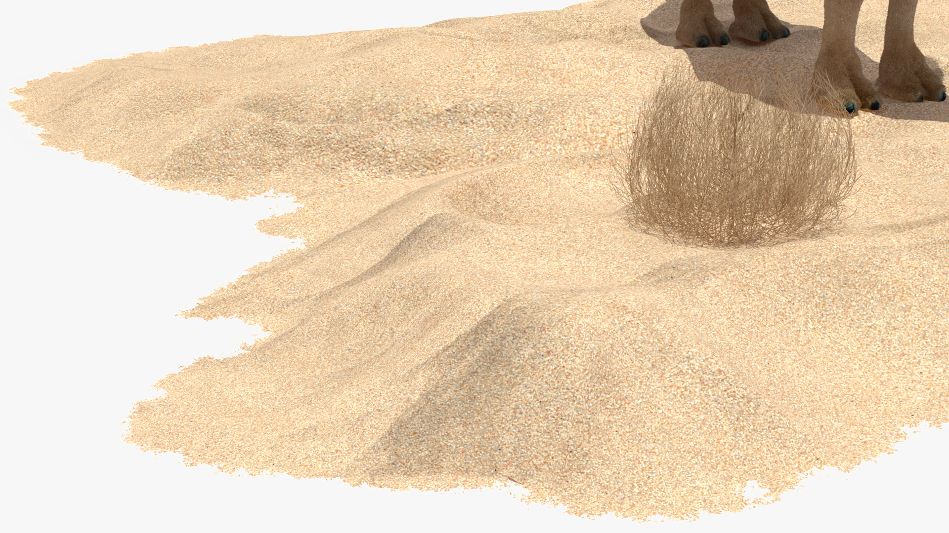 3D Bactrian Camel on Desert Sand Fur model