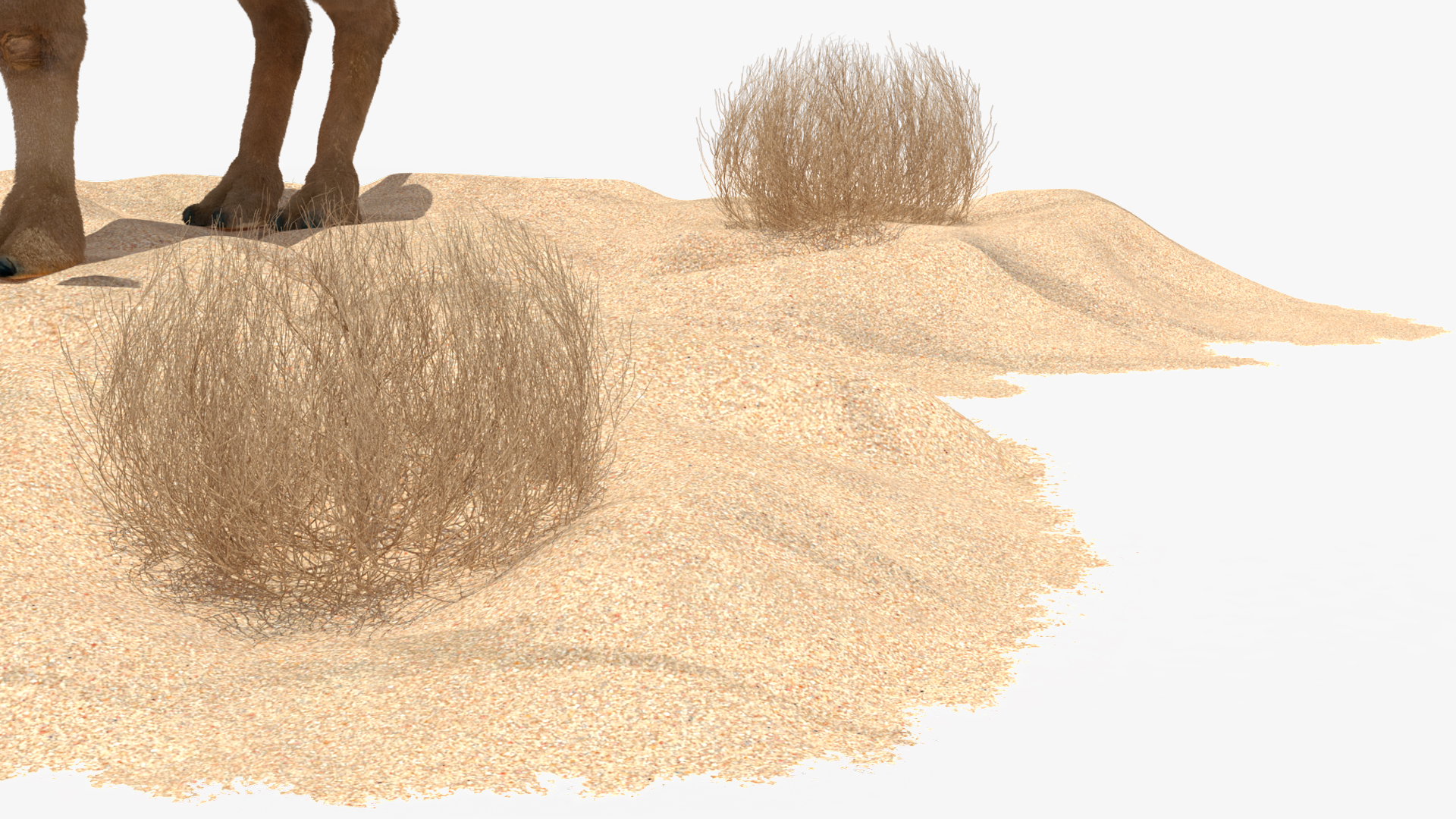 3D Bactrian Camel on Desert Sand Fur model