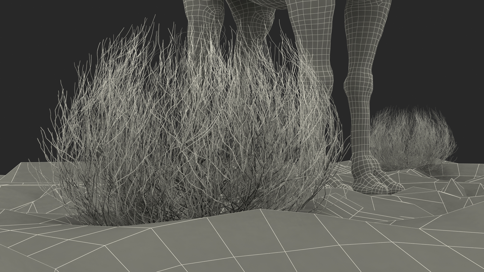 3D Bactrian Camel on Desert Sand Fur model