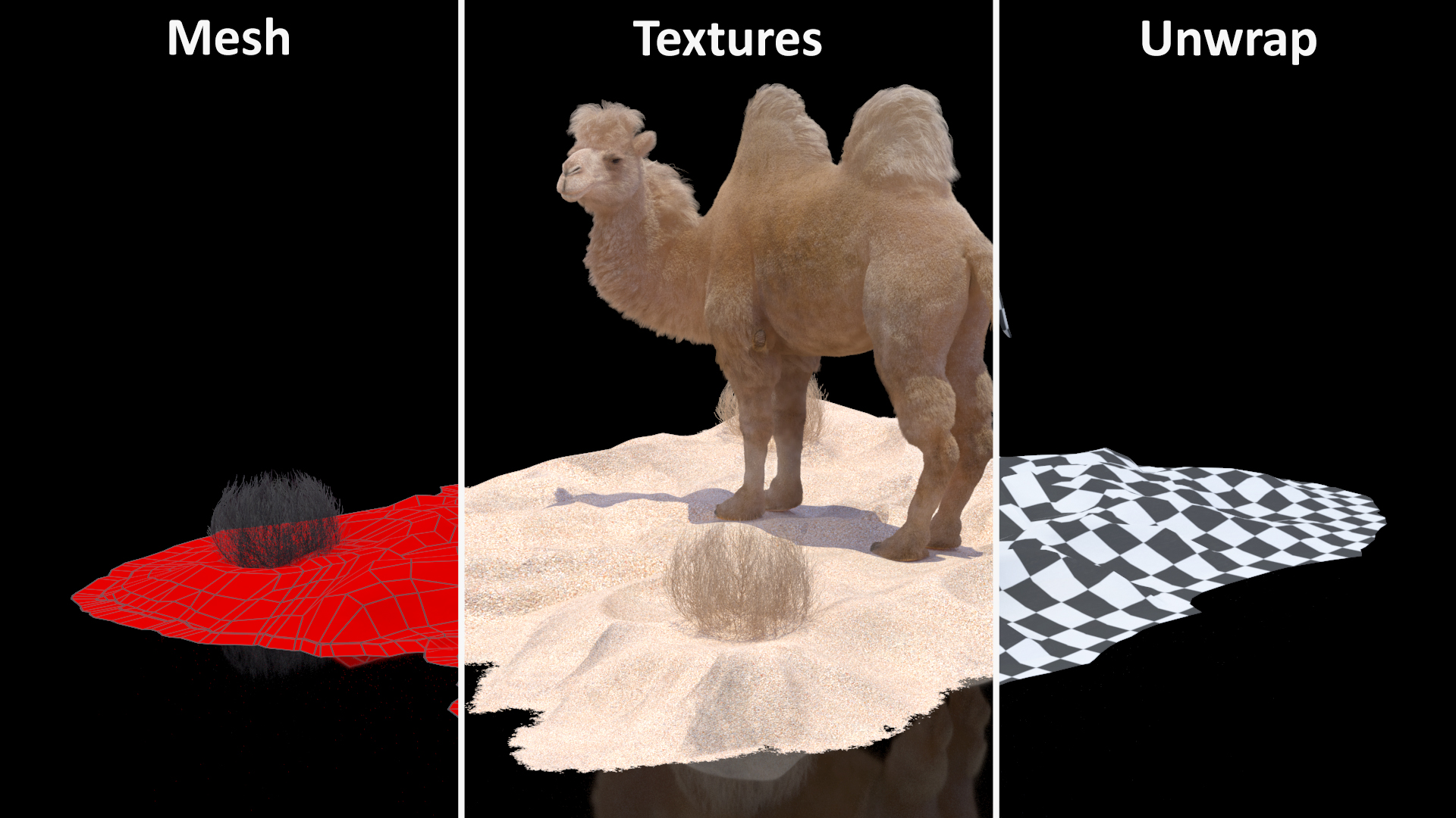 3D Bactrian Camel on Desert Sand Fur model