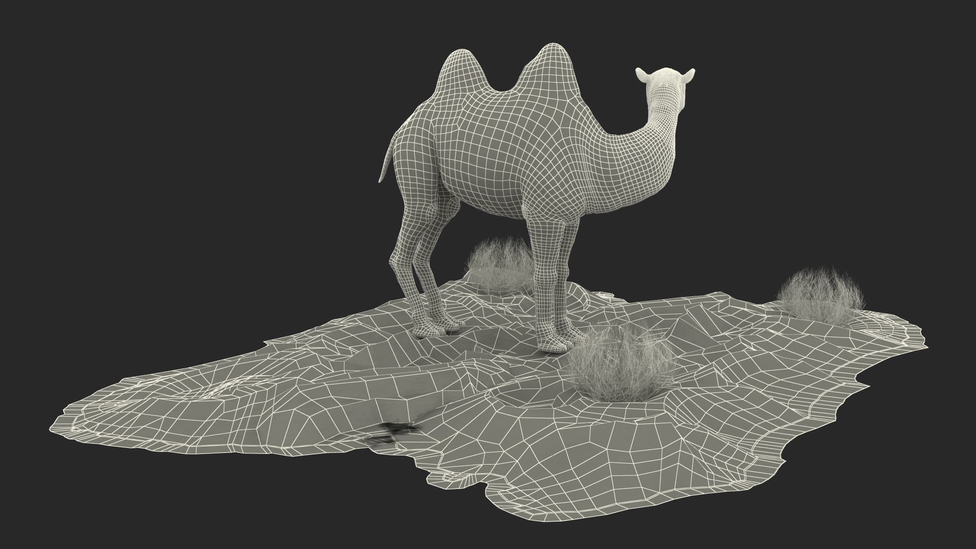 3D Bactrian Camel on Desert Sand Fur model