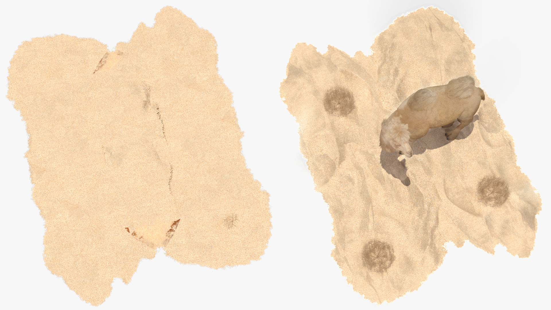 3D Bactrian Camel on Desert Sand Fur model
