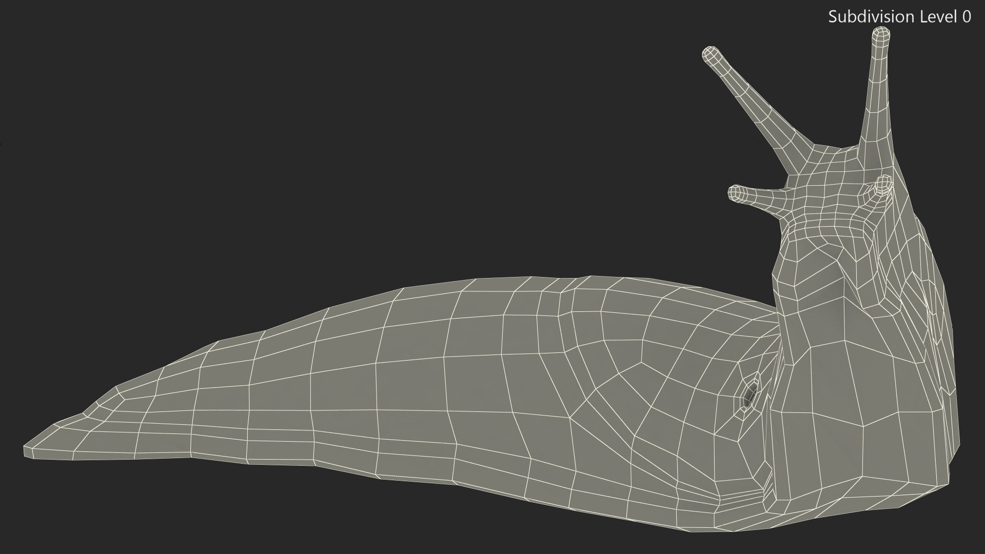 Lusitanian Slug Reaching Up 3D