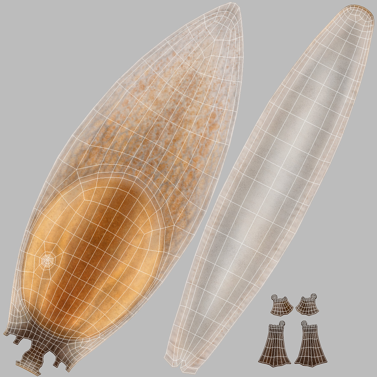 Lusitanian Slug Reaching Up 3D