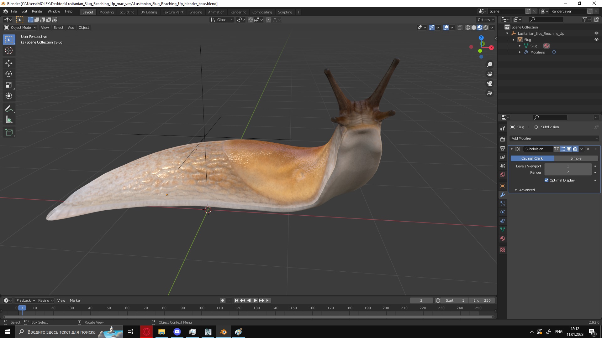 Lusitanian Slug Reaching Up 3D