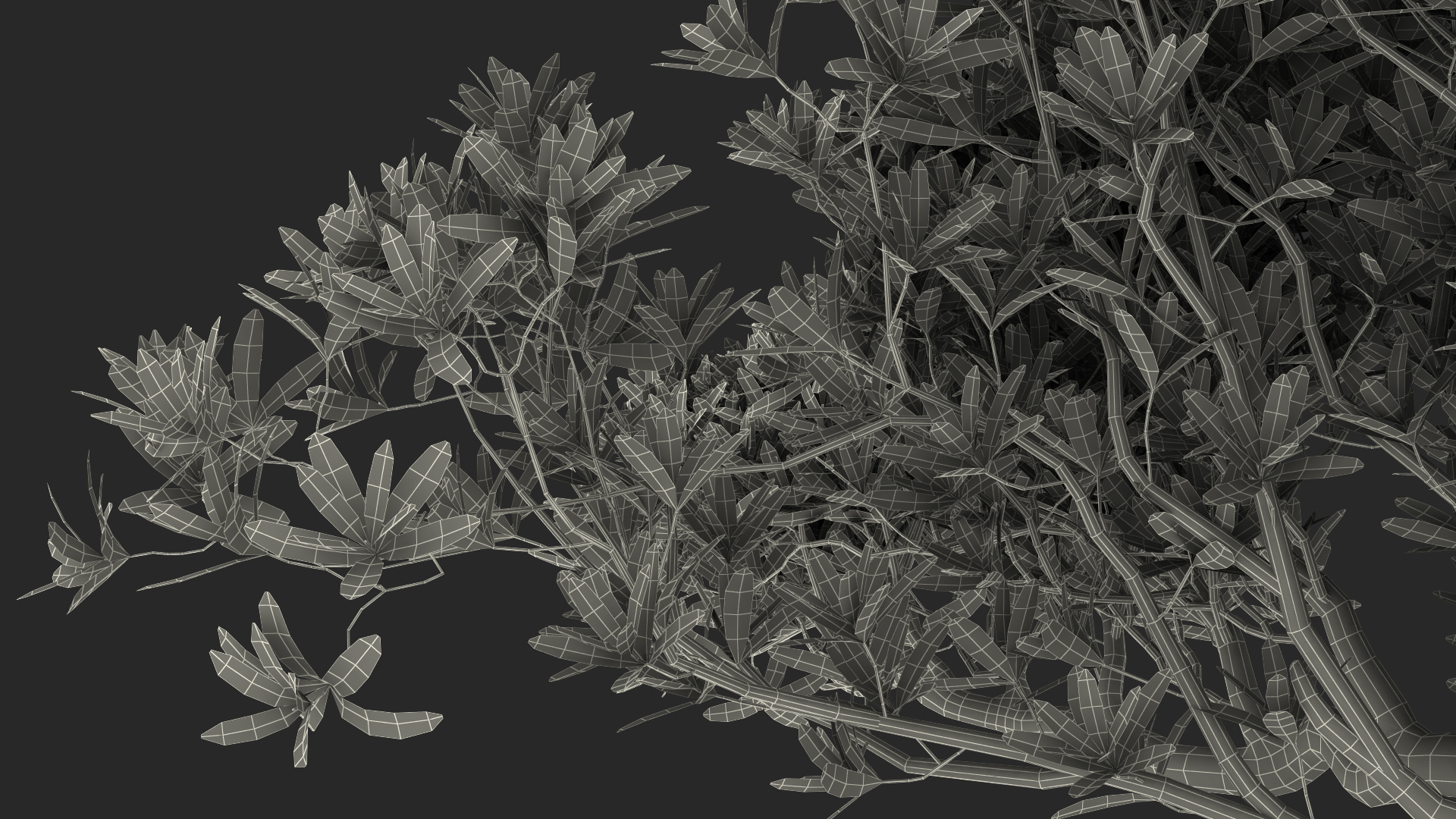 3D Small Bonsai Tree in Pot Fur model