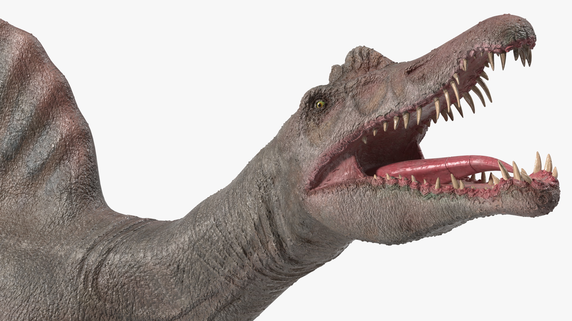 3D model Spinosaurus Swimming Pose