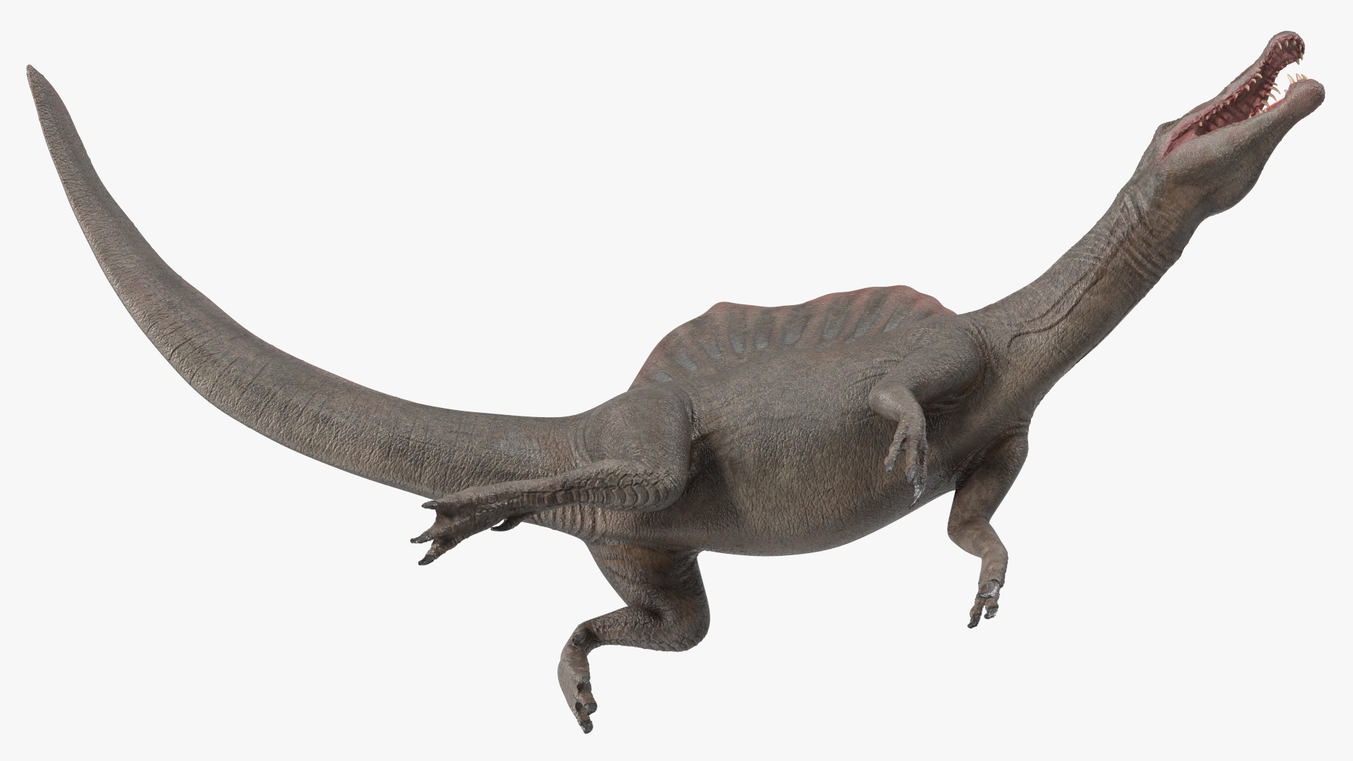 3D model Spinosaurus Swimming Pose