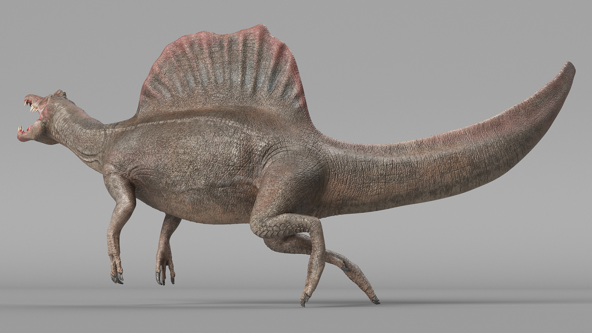 3D model Spinosaurus Swimming Pose