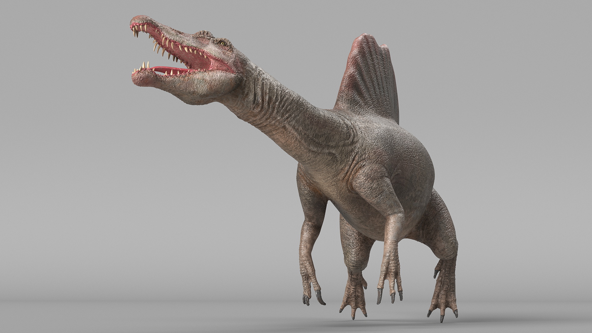 3D model Spinosaurus Swimming Pose