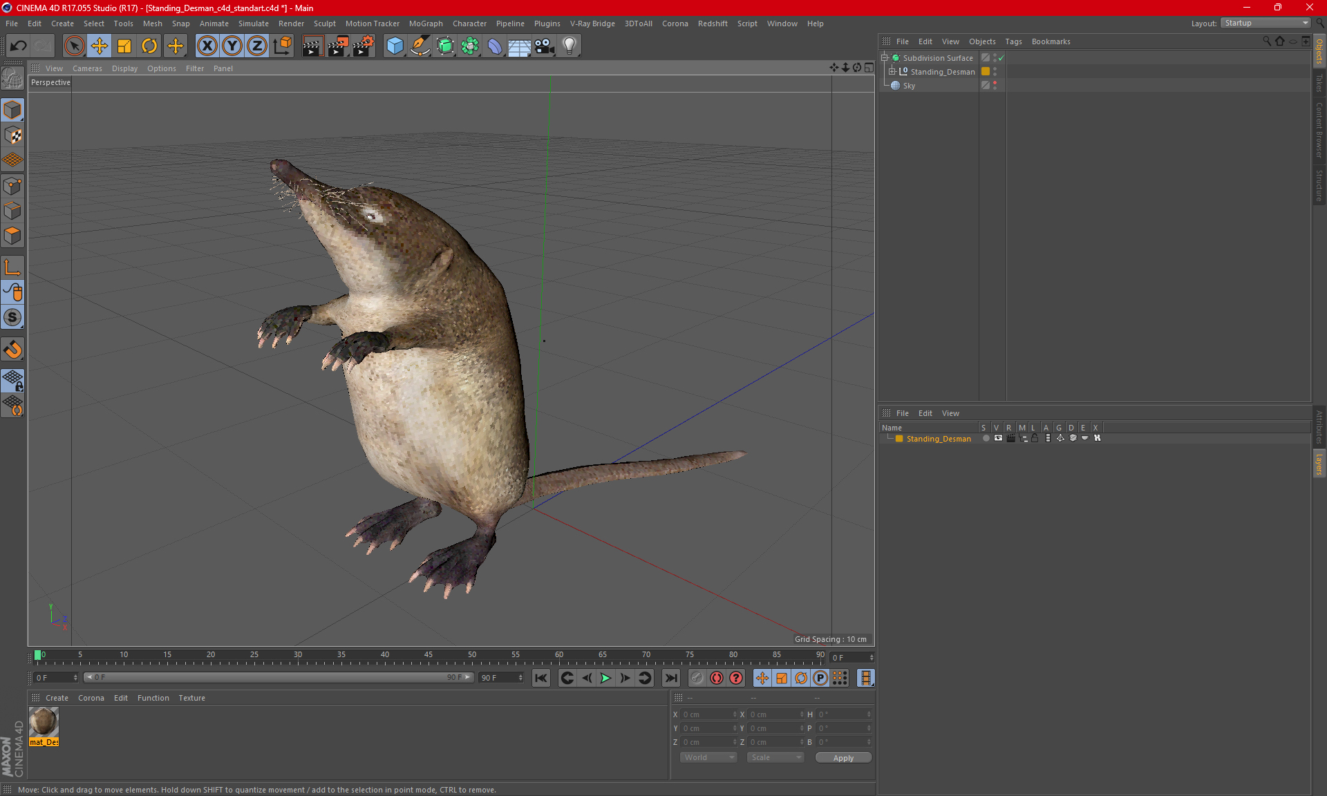 3D model Standing Desman