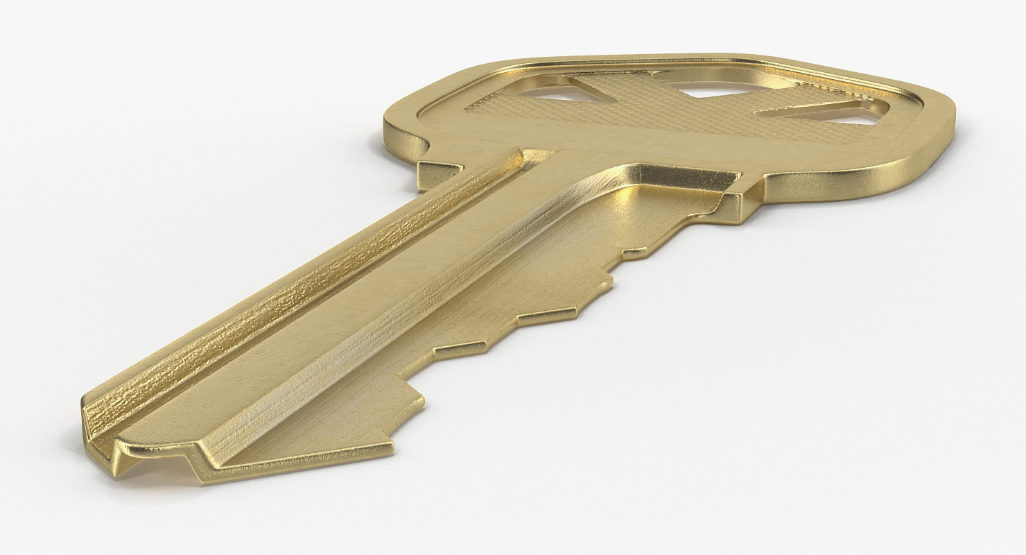 3D Bronse House Key
