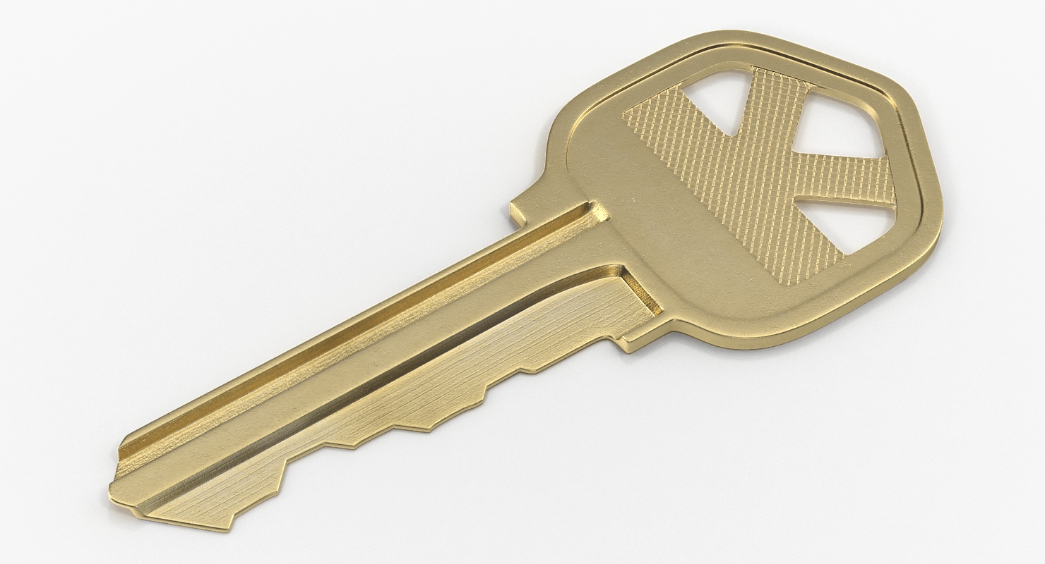 3D Bronse House Key