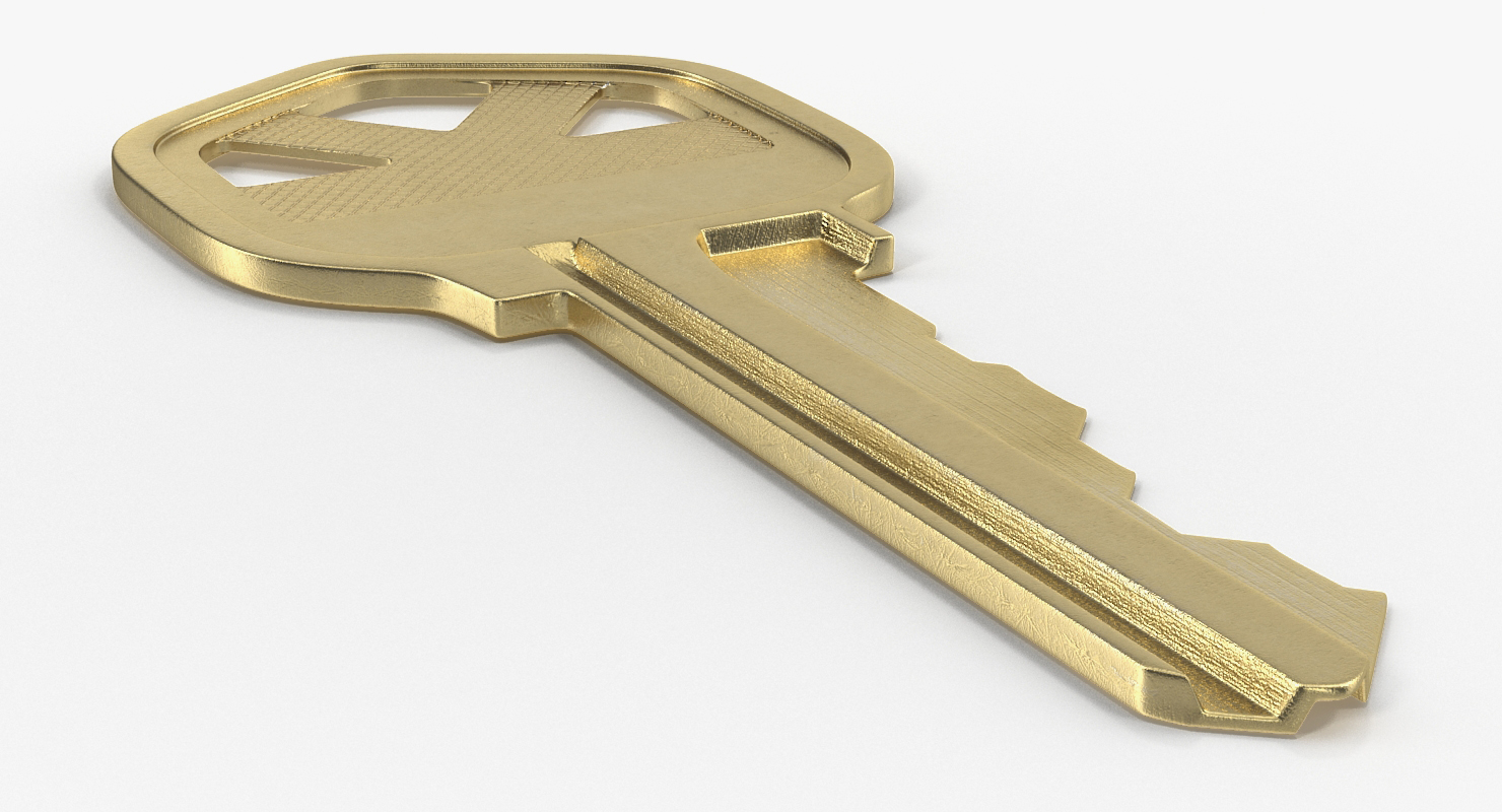 3D Bronse House Key