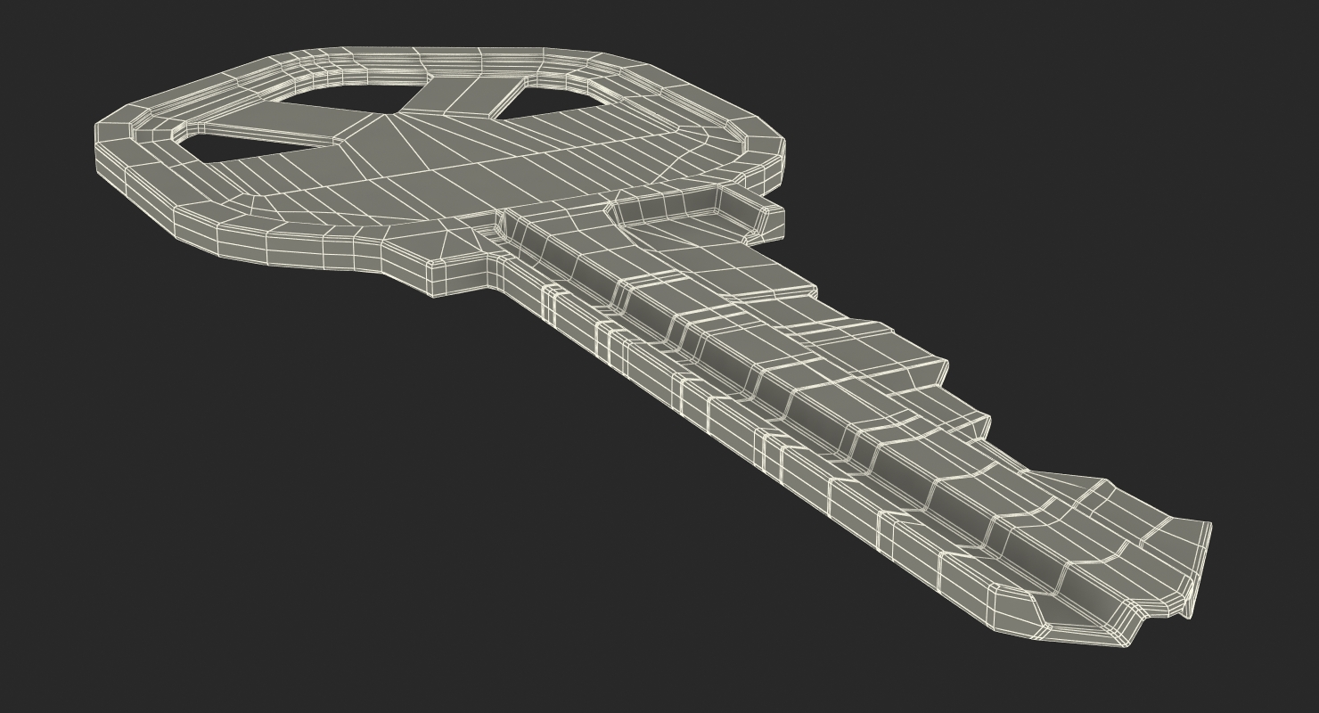 3D Bronse House Key