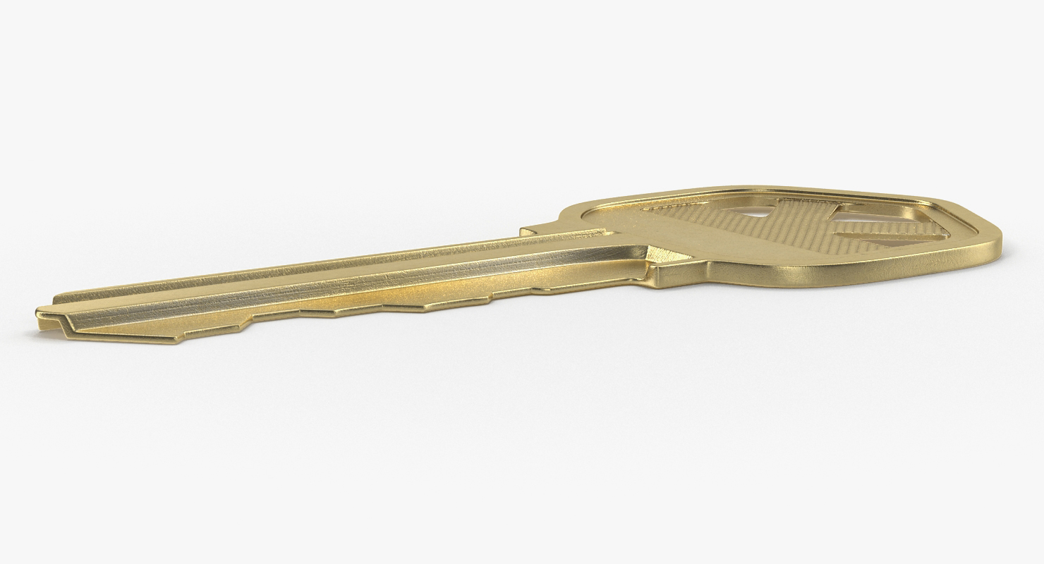 3D Bronse House Key