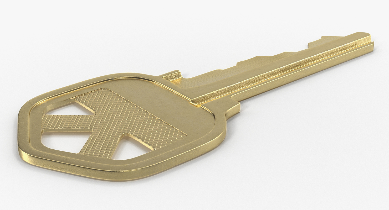 3D Bronse House Key