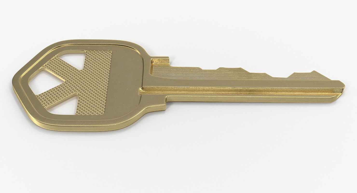 3D Bronse House Key