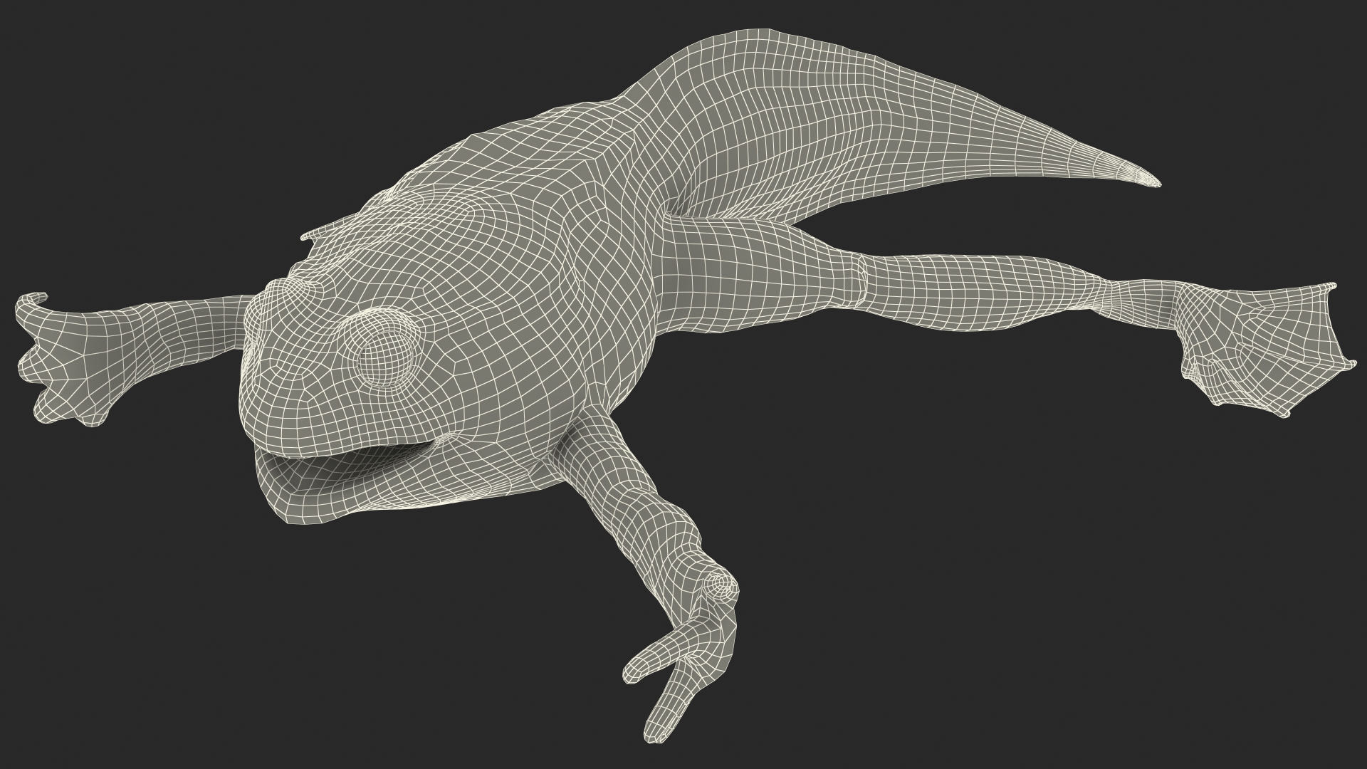 Frog Life Cycle Stages 3D