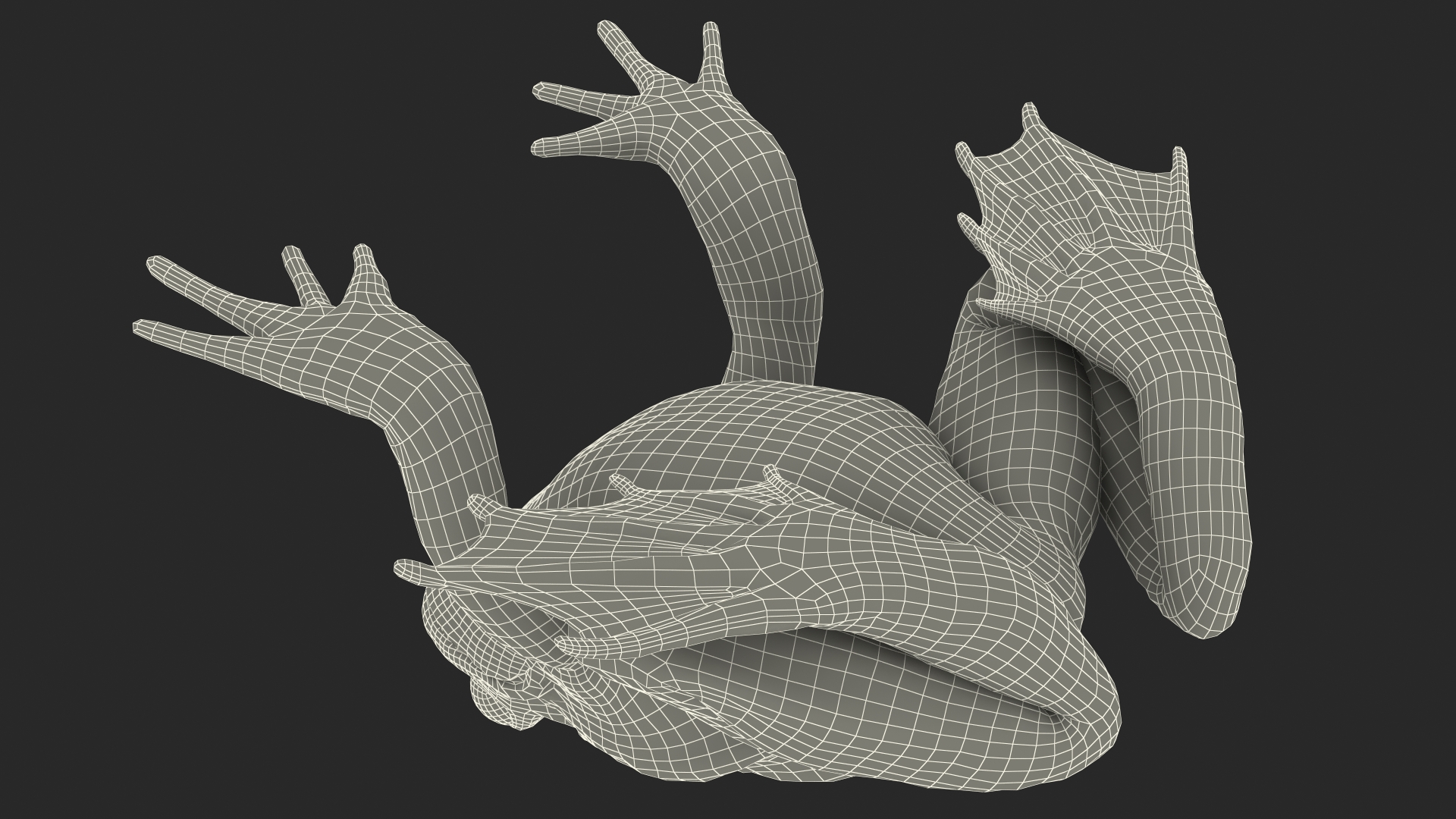 Frog Life Cycle Stages 3D
