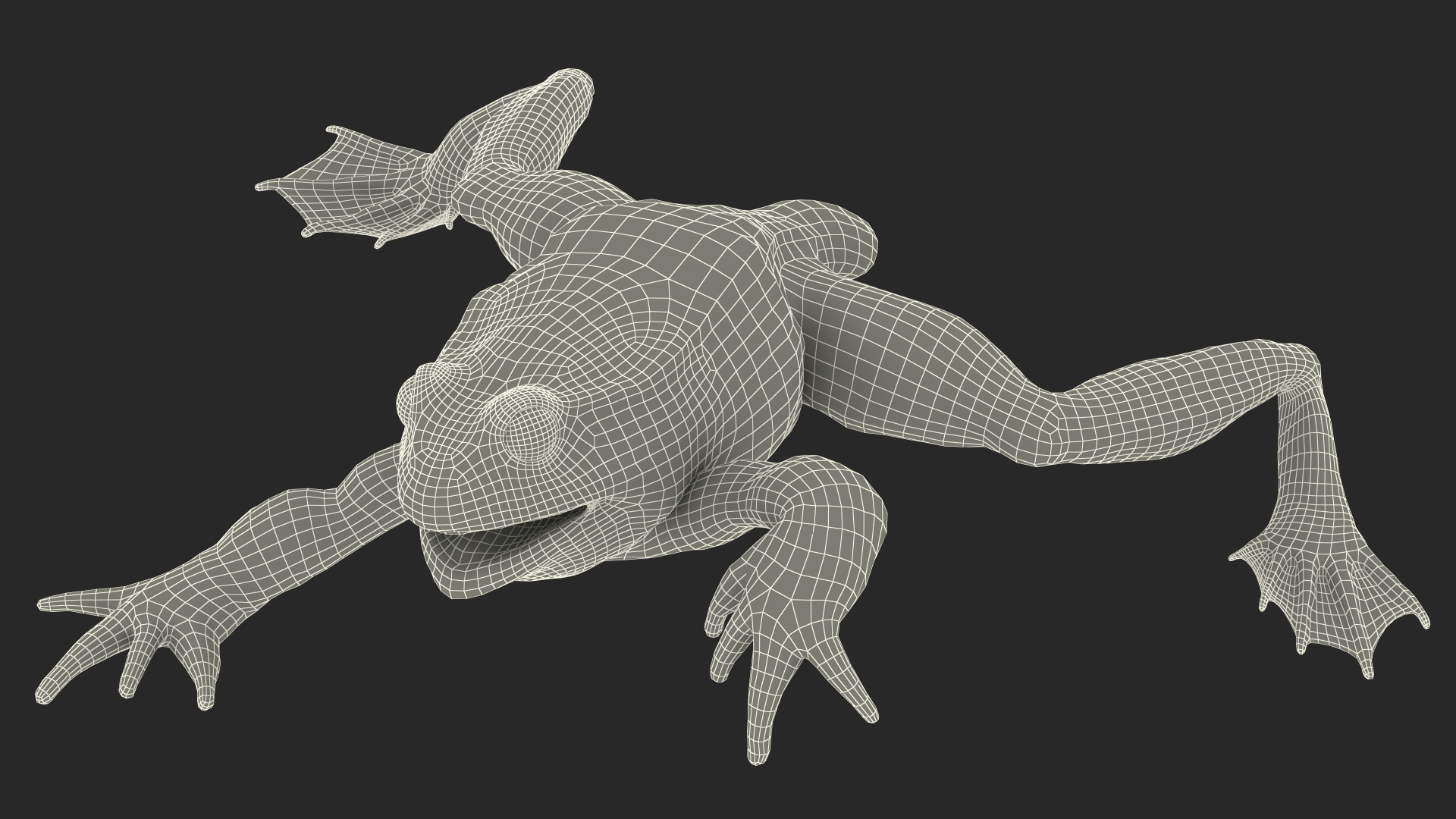 Frog Life Cycle Stages 3D